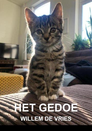 9789465385594 Het gedoe Willem de Vries, Verzenden, Nieuw, Willem de Vries