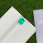 Zonder minimumprijs - 1 pcs Groen Smaragd - 0.55 ct -, Nieuw