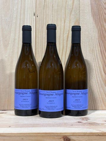 2023 Sylvain Pataille - Bourgogne Aligoté - Bourgogne - 3, Nieuw