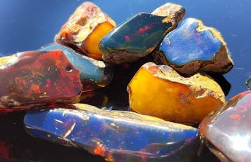 Gemengd amber uit Dominicaanse Republiek, Baltische regio,