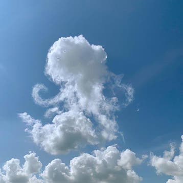 David Law - Magic Clouds - The Octopus