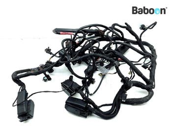 Kabelboom BMW K 1300 GT (K1300GT) (7691723), Verzenden, Gebruikt