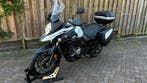 Suzuki V-strom 650 2021, Motoren, 2 cilinders, Motorrijbewijs A, Meer dan 35 kW, Toermotor