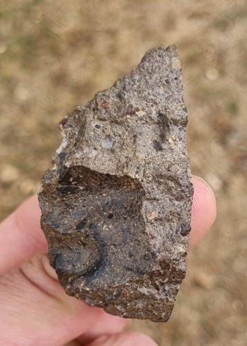 NWA 17153 - eucriet polymict breccie (fragment van asteroïde