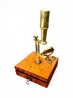 Cary-Gould Zakmicroscoop - 1800-1850 - Verenigd Koninkrijk