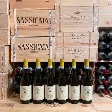 2025 Villa Bucci, Verdicchio Classico dei Castelli di Jesi -, Nieuw