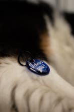 Grappige hondenpenning - I chews you - Leuk als cadeau, Verzenden, Handgemaakt, Nieuw