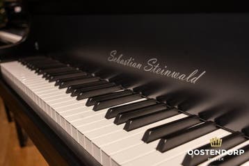 Sebastian Steinwald GP-168 Black Jewel zilver vleugel, Nieuw, Zwart, Vleugel