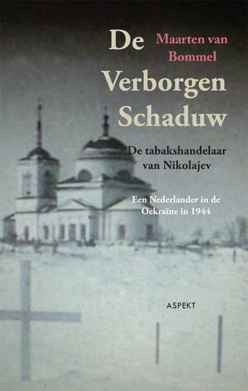 De verborgen schaduw - Maarten van Bommel 9789059111240, Boeken, Verzenden, Gelezen, Maarten van Bommel