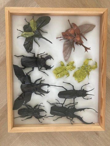 Beeldje - Origami insecten collectie - Papier