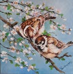Tomasz Bednarski - A pair of sparrows