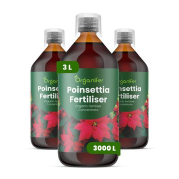 Kerstster Vloeibare meststof - Set 3x1 liter, Verzenden, Mest