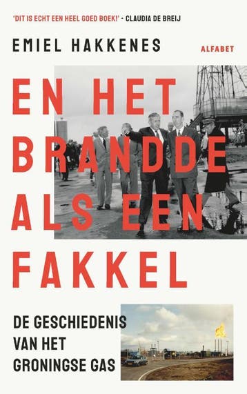 En Het Brandde Als Een Fakkel | Emiel Hakkenes | Nieuw, Ophalen of Verzenden, Nieuw, Emiel Hakkenes
