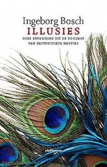 9789045029825 Illusies | Tweedehands, Verzenden, Gelezen, Ingeborg Bosch