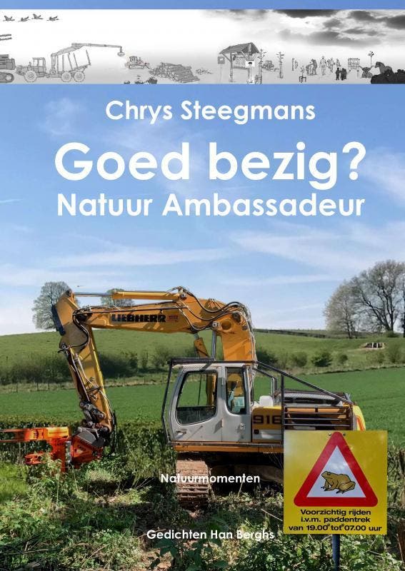 Goed Bezig? | Chrys Steegmans | Nieuw, Boeken, Hobby en Vrije tijd, Nieuw, Ophalen of Verzenden