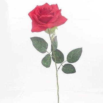 Zijden roos valentij+e17874:e17925nroos single open rose, Ophalen of Verzenden, Nieuw