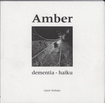 Amber - G. Verbeke 9789077408193, Verzenden, Zo goed als nieuw, G. Verbeke