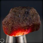 Natuurlijke Rode Robijn in Ruwe Vorm - Stralende Kracht van