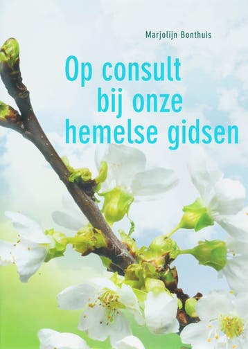 Op consult bij onze hemelse gidsen 9789077247617 M. Bonthuis, Boeken, Esoterie en Spiritualiteit, Verzenden, Gelezen, M. Bonthuis