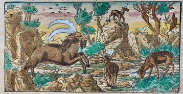 Sebastian Münster - Cosmographia - 1590