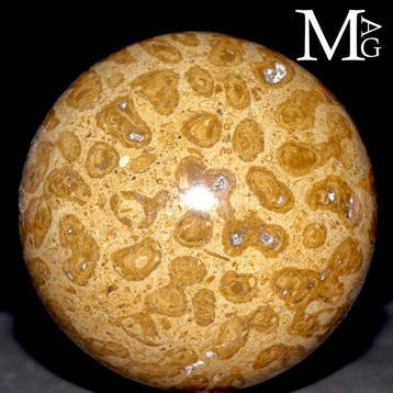 Fossil Coral Sphere - Fossiele Bol in Madreporietkoraal –