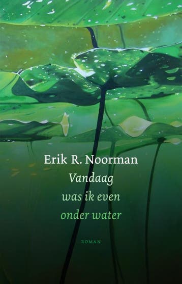 Vandaag Was Ik Even Onder Water | Erik R. Noorman | Nieuw, Ophalen of Verzenden, Nieuw, Erik R. Noorman