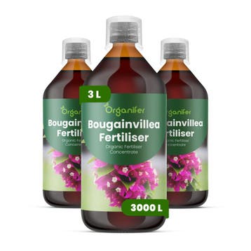 Vloeibare meststof voor bougainvillea - 3x1 liter, Tuin en Terras, Verzenden, Mest