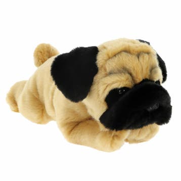 Mopshond puppy knuffel - pluche - beige - 35 cm, Verzenden, Nieuw