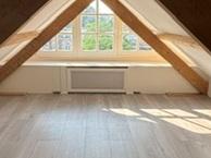 Studio Bothaplein in Arnhem, Huizen en Kamers, Gelderland, Via bemiddelaar, Arnhem, Studio
