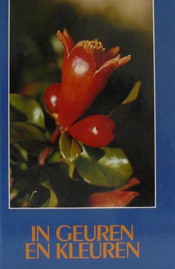 IN GEUREN EN KLEUREN - A.G. Versteeg 9789060479520, Boeken, Verzenden, Gelezen, A.G. Versteeg