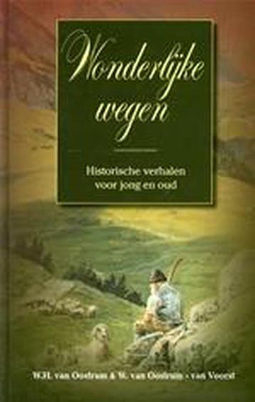 WONDERLIJKE WEGEN - W.H. van Oostrum 9789055513338, Verzenden, Gelezen, W.H. van Oostrum
