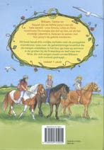 De vrolijke avonturen van de ponygirls / De ponygirls, Boeken, Verzenden, Zo goed als nieuw, Ruth Gellersen