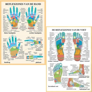 Anatomie posters hand- en voetreflexologie (Nederlands,...., Nieuw