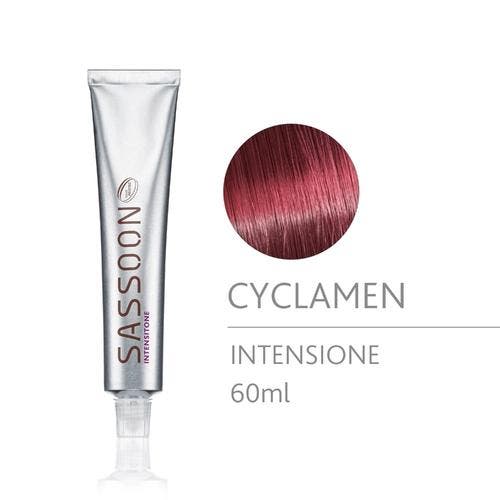 Sassoon Chromatology Intensitone 60ml (Verf (permanent)), Sieraden, Tassen en Uiterlijk, Uiterlijk | Haarverzorging, Nieuw, Verzenden