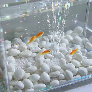 Witte Rivierstenen 2-3cm (250/600g) - Gladde Decoratieve Kie, Dieren en Toebehoren, Vissen | Aquaria en Toebehoren, Verzenden