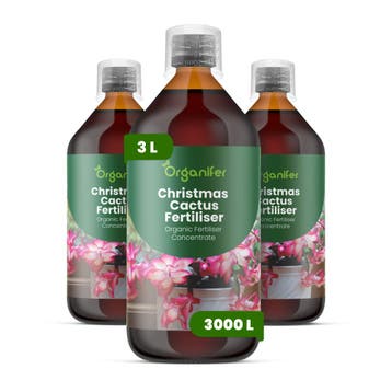 Kerstcactus Vloeibare meststof - 3x1 liter, Verzenden, Mest