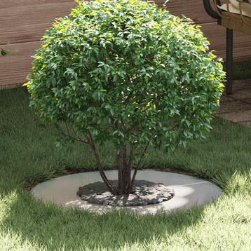 vidaXL geschikt voor platte boomring Zilver Ø30/60 cm, Verzenden, Nieuw, Metaal, 60 tot 100 cm