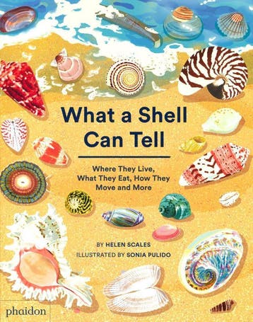 What A Shell Can Tell | Helen Scales; Sonia Pulido | Nieuw, Ophalen of Verzenden, Nieuw, Helen Scales; Sonia Pulido