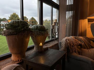 Tillandsia krans grey 45 cm, Ophalen of Verzenden, Nieuw