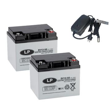 Landport (LP) 2x EV12-50 accus 12 volt 50 ah + IMPULS II, Ophalen of Verzenden, Nieuw