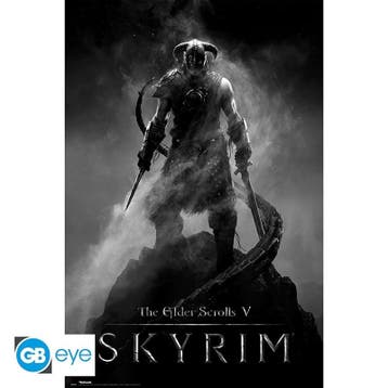 Skyrim Dragonborn Poster 91.5 x 61cm, Ophalen of Verzenden, Nieuw