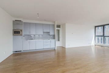 Te huur: Appartement Carolina van Nassaustraat in Den Haag, Den Haag, Appartement, Zuid-Holland