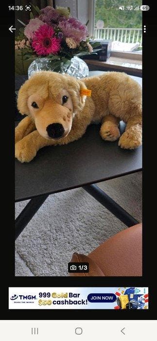 Steiff - Teddybeer Golden Retriever Welpe, - Duitsland