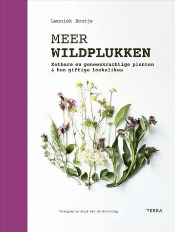 Meer wildplukken - Leoniek Bontje 9789401496803, Verzenden, Zo goed als nieuw, Leoniek Bontje