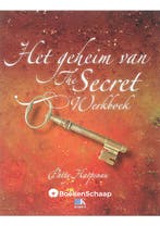 Het geheim van The Secret (werkboek) Patty Harpenau, Boeken, Verzenden, Gelezen