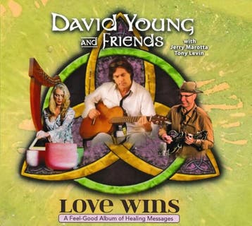 cd - David Young - Love Wins, Verzenden, Zo goed als nieuw