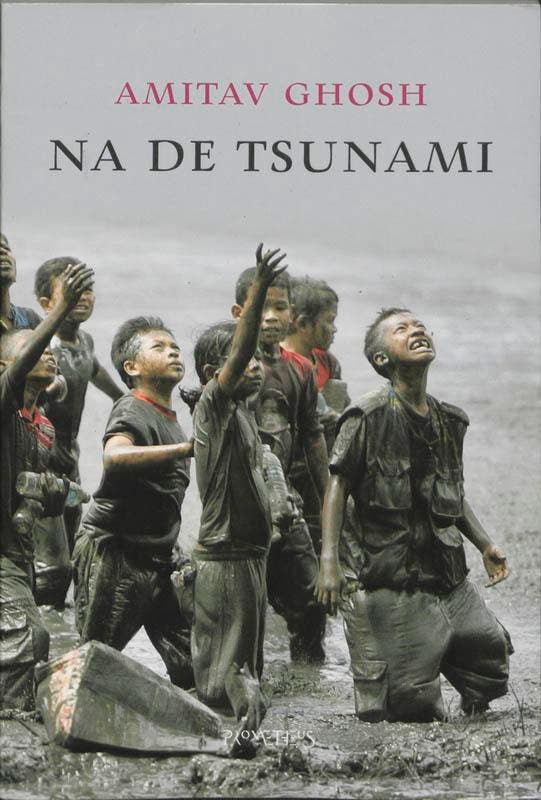 Na de tsunami 9789044606409 Amitav Ghosh, Boeken, Romans, Zo goed als nieuw, Verzenden