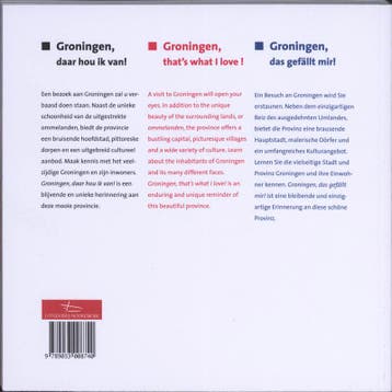 Groningen 9789033008740 Kirsten Otten, Boeken, Verzenden, Gelezen, Kirsten Otten