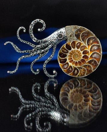 Geen reserveprijs Prachtige ammoniet hanger/broche