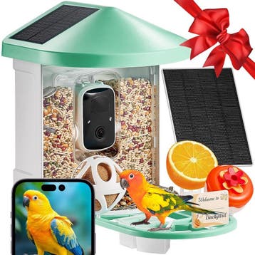 Vogelvoederstation 2K Camera | Retourdeal 47% Korting, Ophalen of Verzenden, Zo goed als nieuw